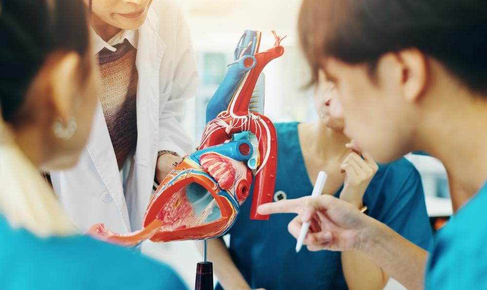 クリニカルスペシャリスト必見！将来性のあるキャリアパスを解説